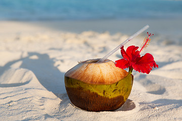 Image showing coconut drink on exotic tropical maldives beach