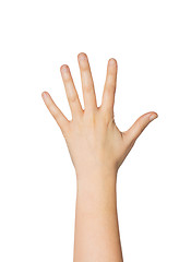 Image showing close up of hand showing five fingers