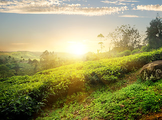 Image showing Sun over Nuwara Eliya