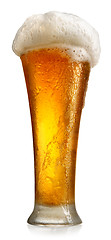 Image showing Tumbler with beer