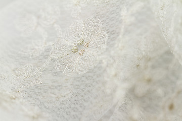 Image showing Beautiful lace