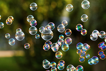 Image showing Soap bubbles