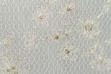 Image showing Special lace