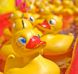 Image showing yellow duck