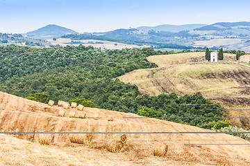 Image showing Countryside in Tuscany