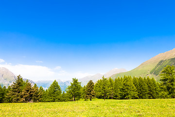 Image showing Italian Alps