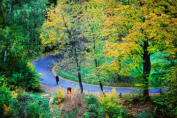 Image showing Senior woman walking on the road