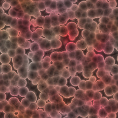 Image showing bacteria or cells