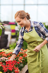 Image showing happy woman taking care of flowers in greenhouse