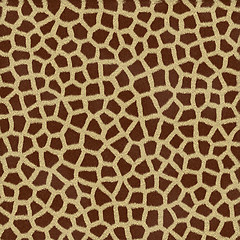 Image showing giraffe spots