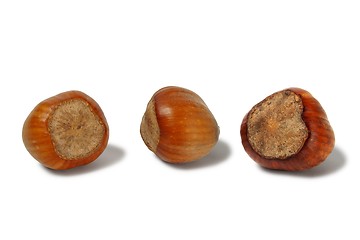 Image showing Hazelnuts on white