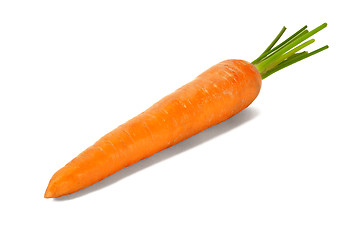 Image showing Fresh carrot