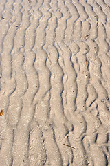 Image showing ripples in the beach sand