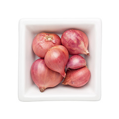 Image showing Shallot