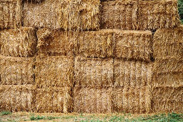 Image showing natural straw texture