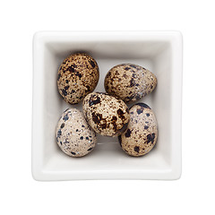 Image showing Quail egg