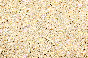 Image showing White sesame seed