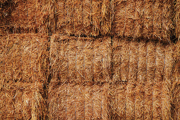 Image showing natural straw texture