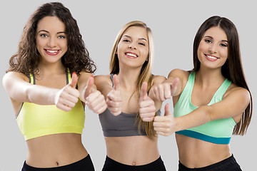 Image showing Happy fitness girls