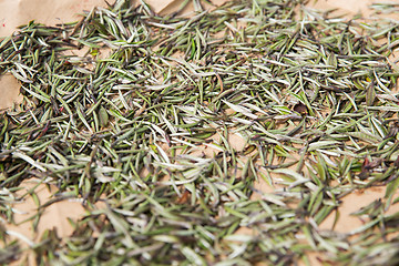 Image showing close up of tea raw drying