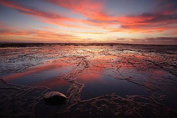 Image showing Sunrise over Long Reef at low tide with reflectins