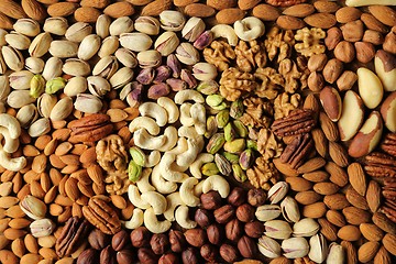 Image showing Varieties of nuts.