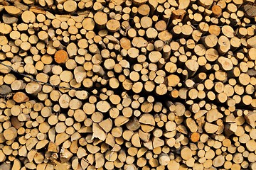Image showing Firewood.