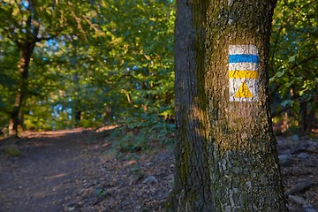 Image showing Hiking trail signs