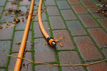 Image showing Orange Garden Hose