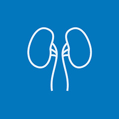 Image showing Kidney line icon.