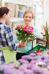 Image showing happy women choosing flowers in greenhouse
