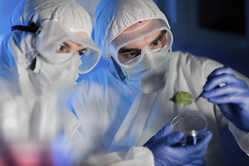 Image showing close up of scientists with green leaf in lab