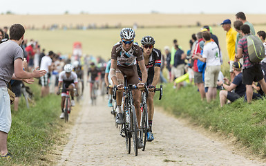 Image showing The Peloton on a Cobblestone Road - Tour de France 2015