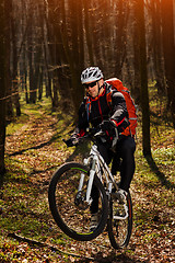 Image showing Mountain biker riding on bike in springforest landscape. 