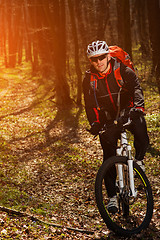 Image showing Mountain biker riding on bike in springforest landscape. 