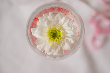 Image showing spring flower in a glass