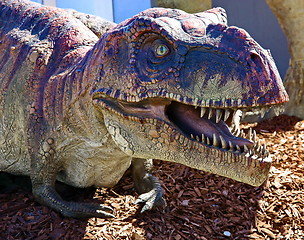 Image showing Tyrannosaurus Rex