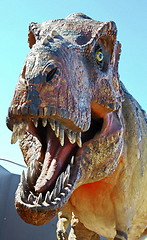 Image showing Tyrannosaurus Rex