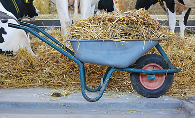 Image showing Wheelbarrow