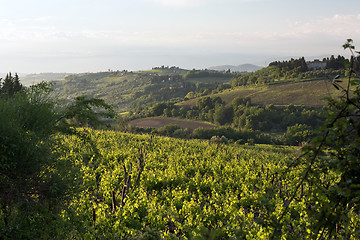 Image showing Landscape. Tuscany, Italy