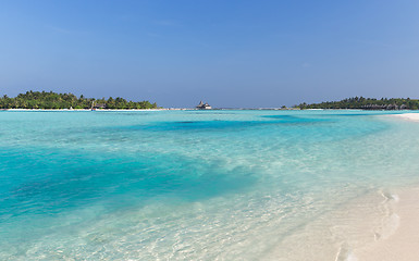 Image showing maldives island beach with palm tree and villa