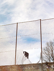 Image showing Sweater hanging on the metal mesh fence