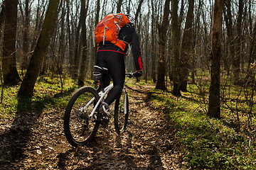 Image showing Mountain biker riding on bike in springforest landscape. 