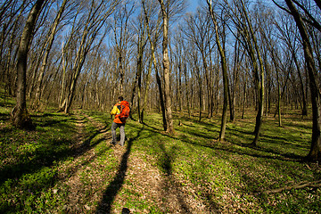 Image showing Active healthy man hiking in beautiful forest