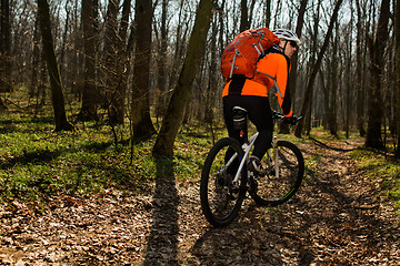 Image showing Mountain biker riding on bike in springforest landscape. 