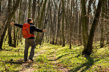 Image showing Active healthy man hiking in beautiful forest