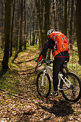 Image showing Mountain biker riding on bike in springforest landscape. 