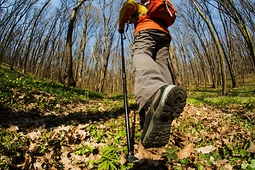 Image showing Close up of hiker shoes boots and hiking sticks poles