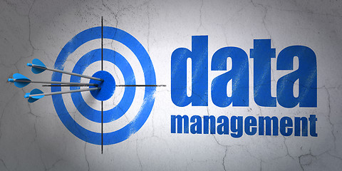 Image showing Data concept: target and Data Management on wall background