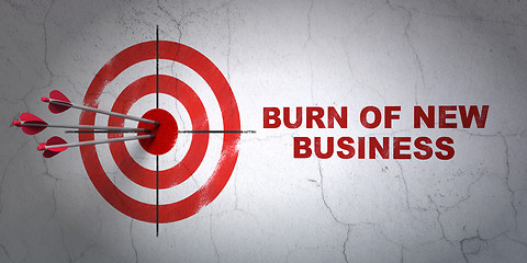 Image showing Business concept: target and Burn Of new Business on wall background